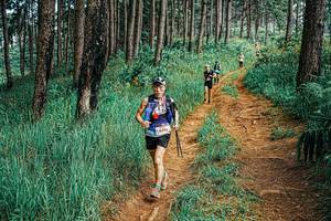 BIB: 
                            <button type="button" onclick="openModal(25667728)" class="btn btn-primary btn-sm float-right btn-popup" data-toggle="modal" data-target=".modal-high-quality">
                        <i class="fas fa-shopping-cart"></i> Add to Cart
                    </button>
                                            <button type="button" onclick="isThisMe(25667728, true)" class="btn btn-success btn-sm float-right btn-popup btn-isme hidden" data-toggle="tooltip" data-placement="bottom" title="นี่คือรูปของคุณใช่ไหม คลิกที่นี่เพื่อเอาเข้าอัลบั้ม">
                        <i class="fas fa-plus"></i> Add to album
                    </button>
                    <button type="button" onclick="isThisMe(25667728, false)" class="btn btn-warning btn-sm float-right btn-popup btn-isnotme hidden">
                        <i class="fas fa-ban"></i> Remove from album
                    </button>